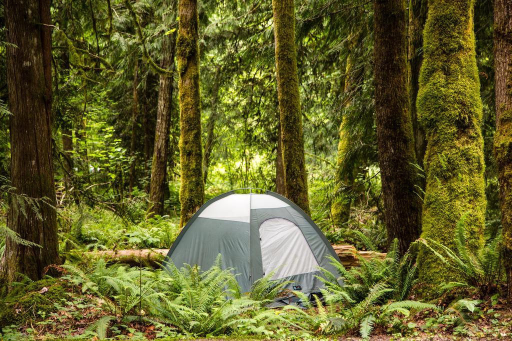 Mount Hood Village Premium Yurt 4 Welches 외부 사진